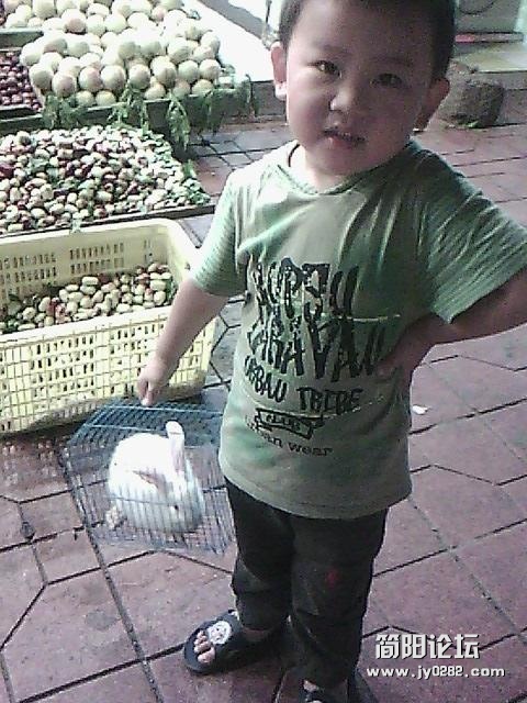IMG0090A.jpg