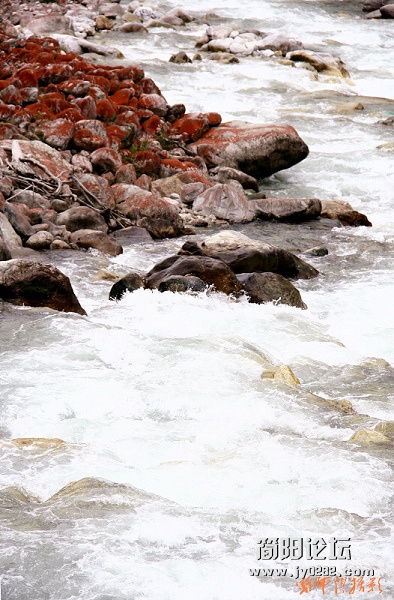 _MG_1420.jpg