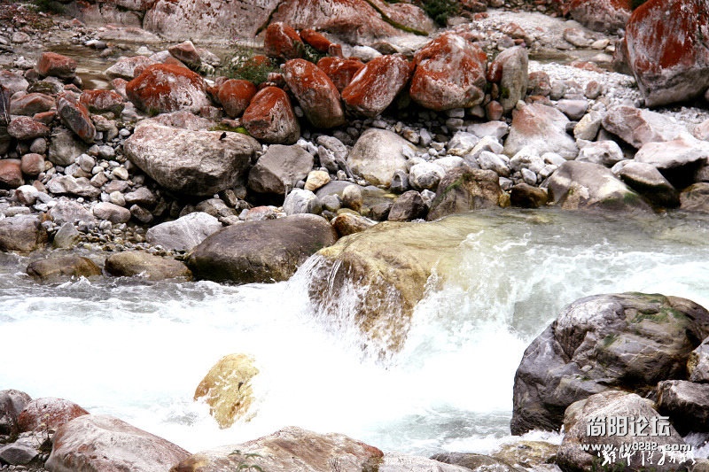 _MG_1413.jpg