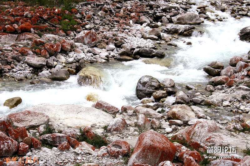 _MG_1414.jpg