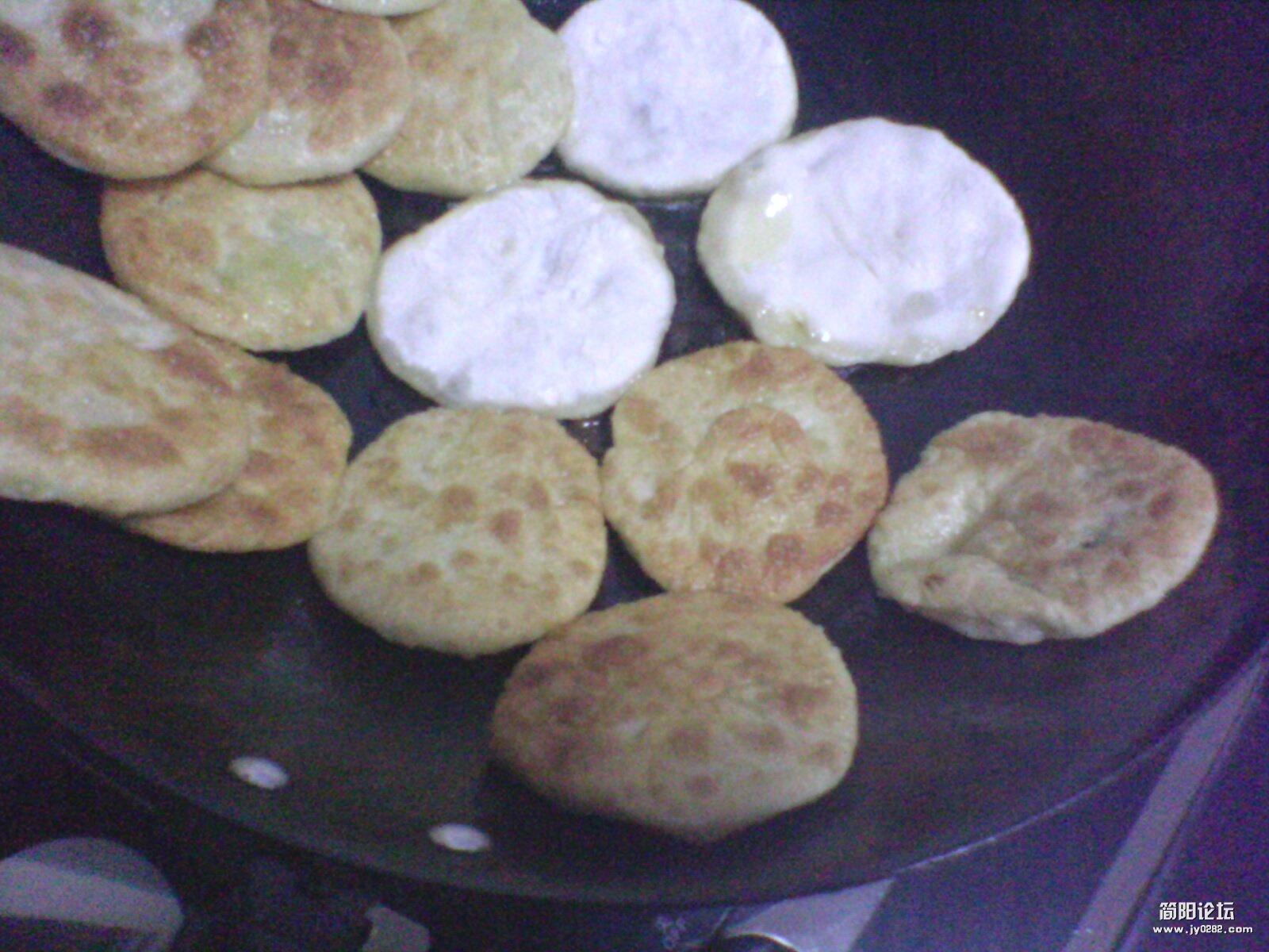 IMG1141A.jpg