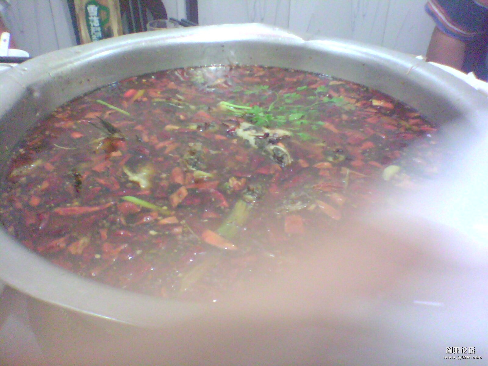IMG1117A.jpg