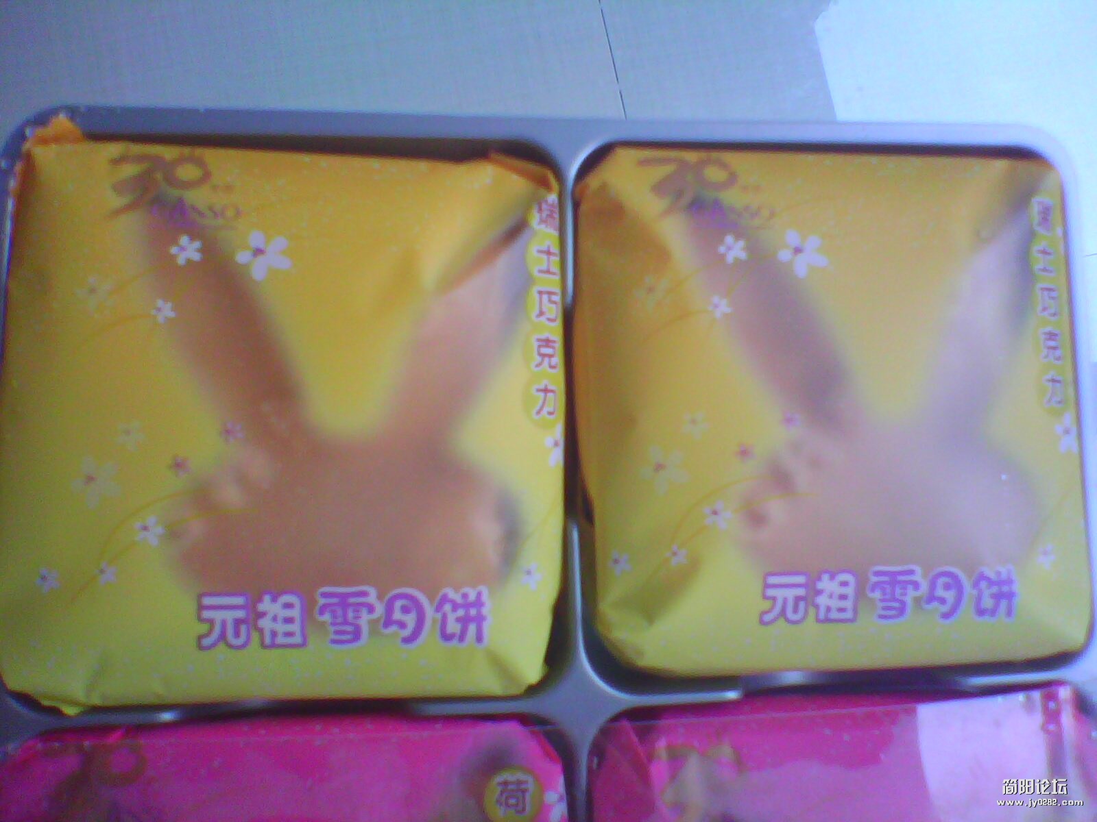 IMG1130A.jpg