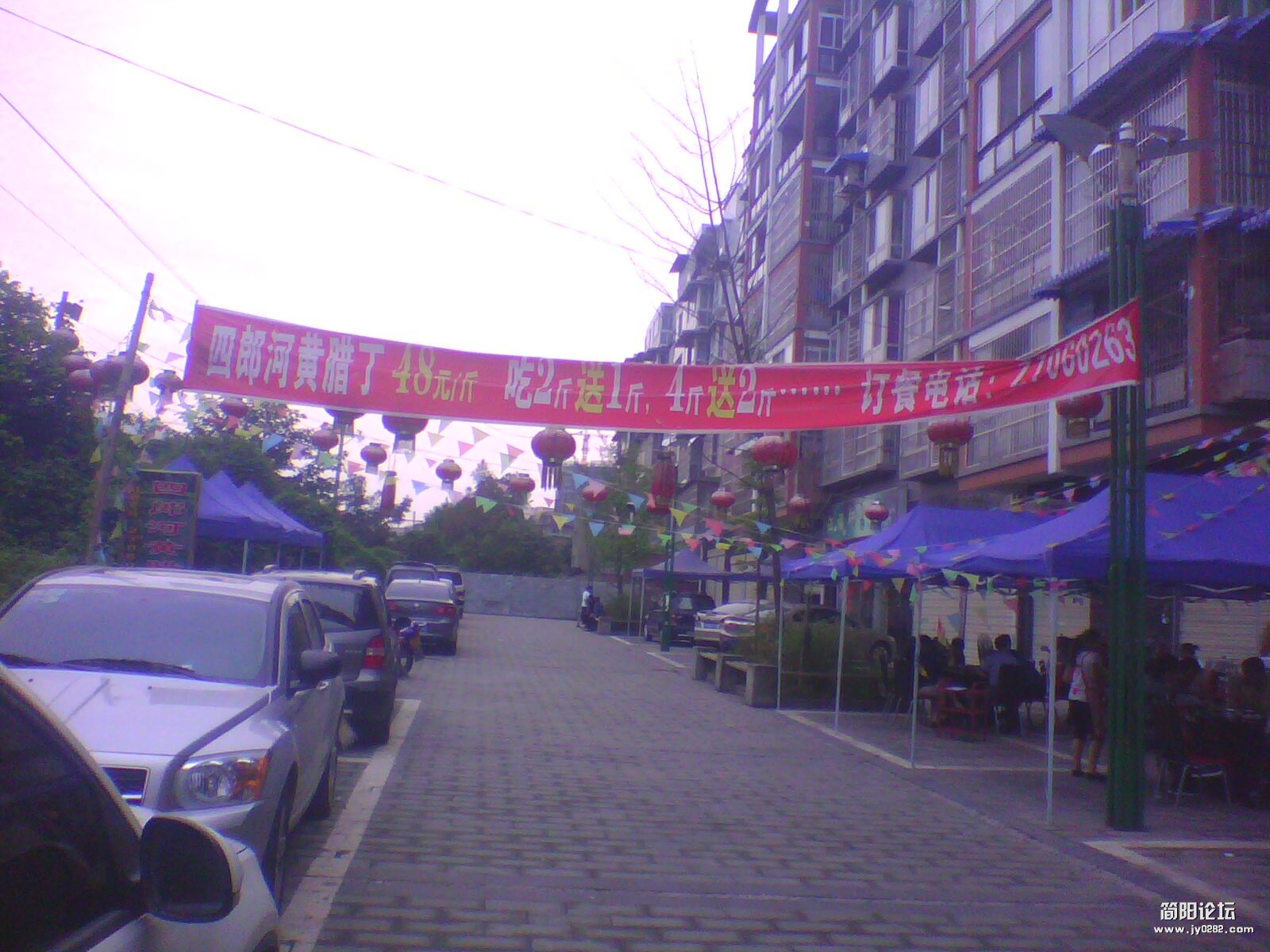 IMG1143A.jpg