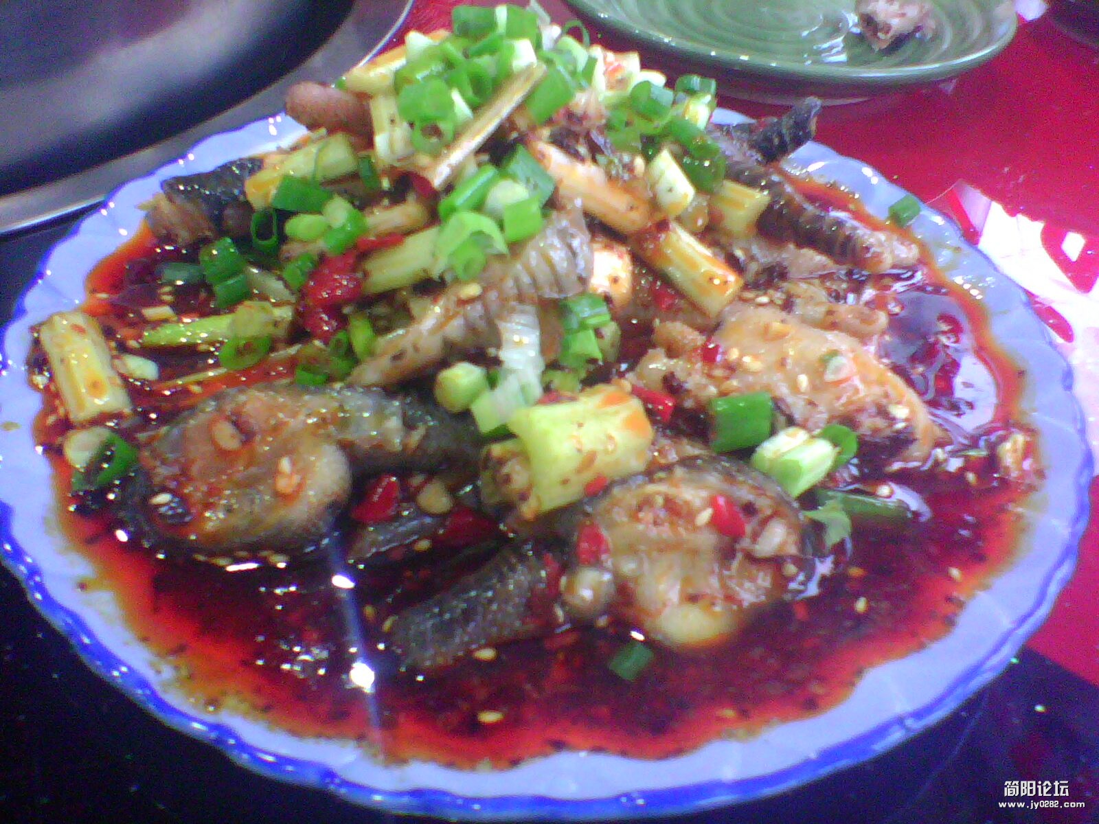 IMG1161A.jpg