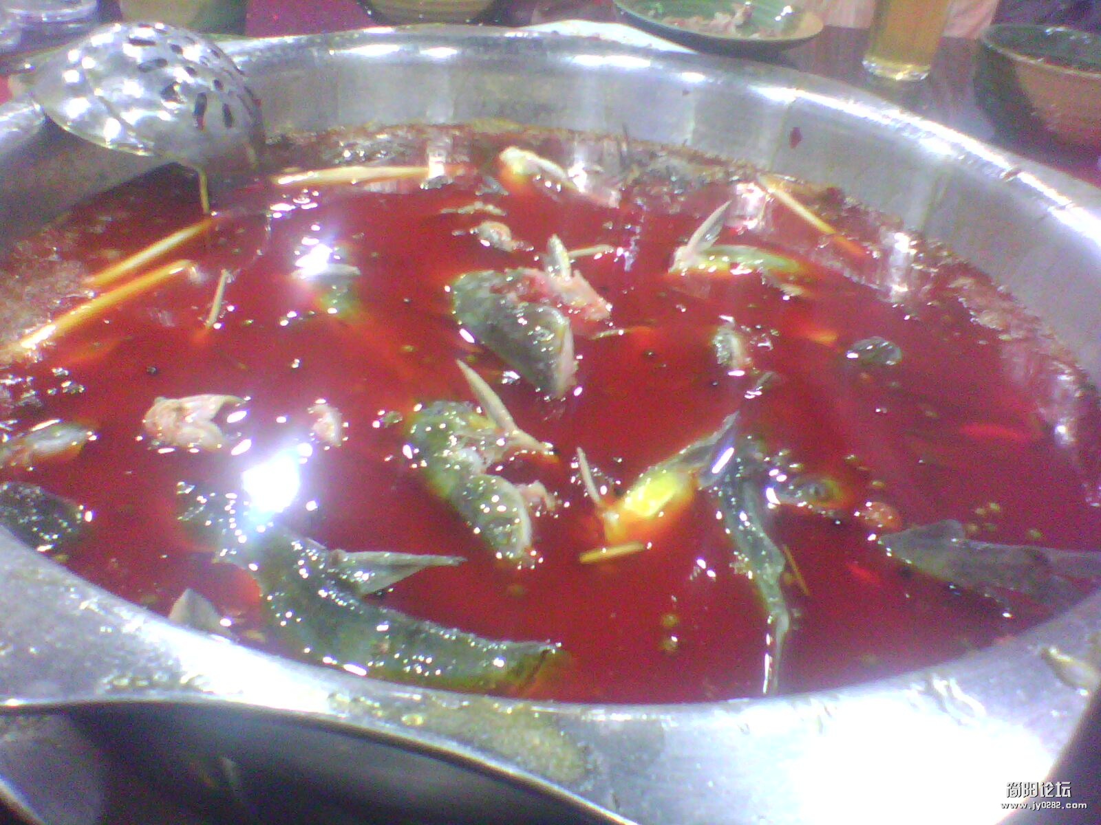 IMG1154A.jpg