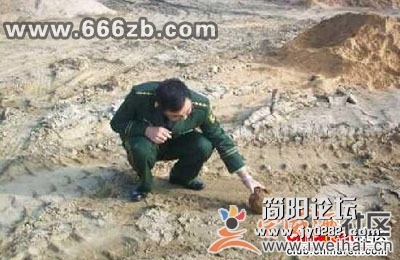 2010111621150012.jpg