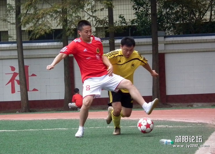 DSCF2206.jpg