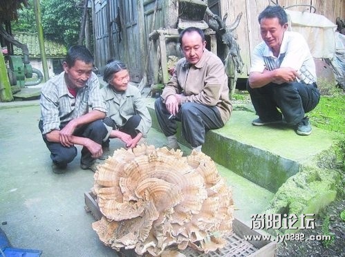未命名.jpg