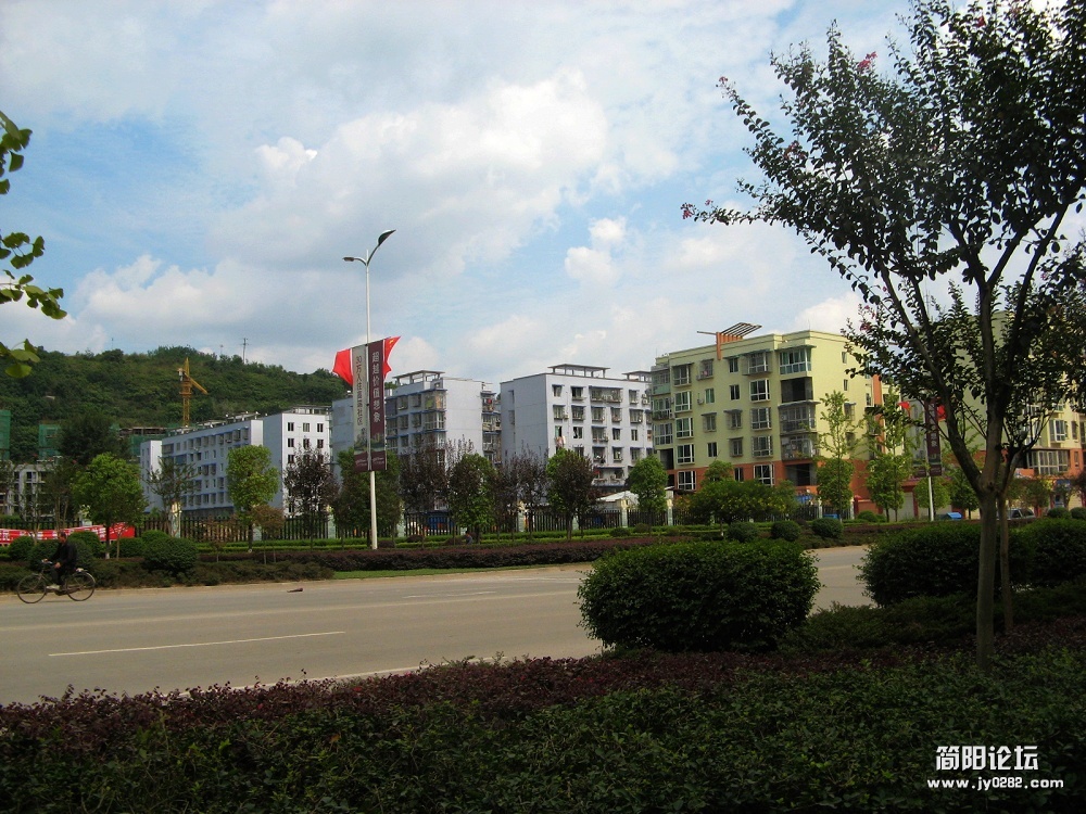 IMG_6593.jpg