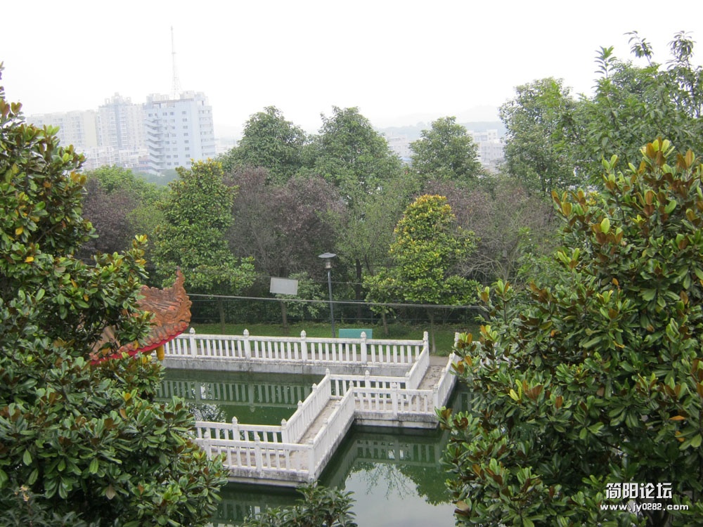 1 (20).jpg