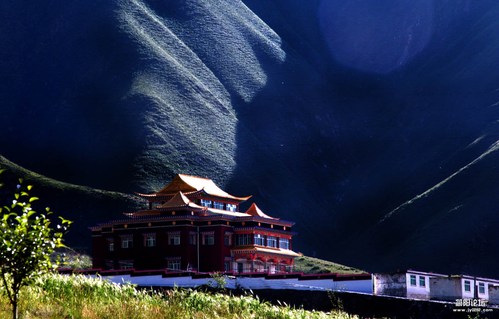 藏区美景 (8)副本.jpg