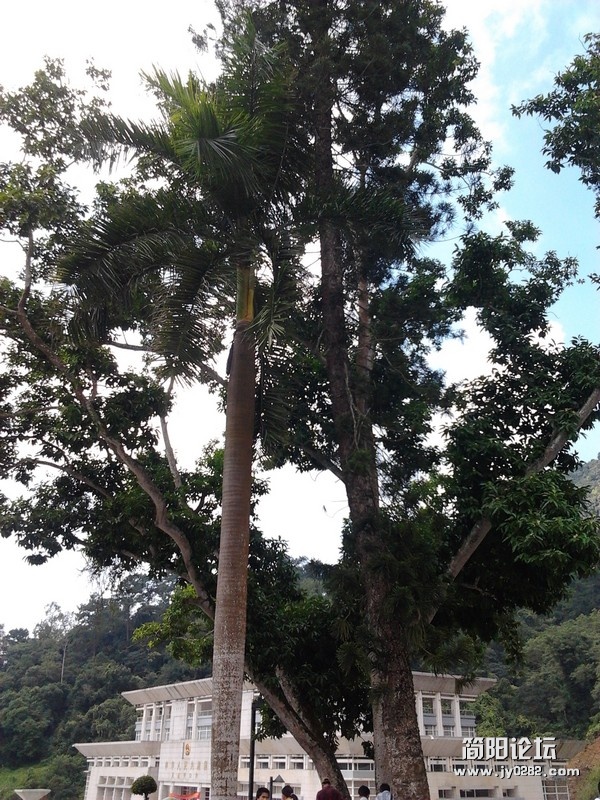 2011-10-10 11.36.50.jpg