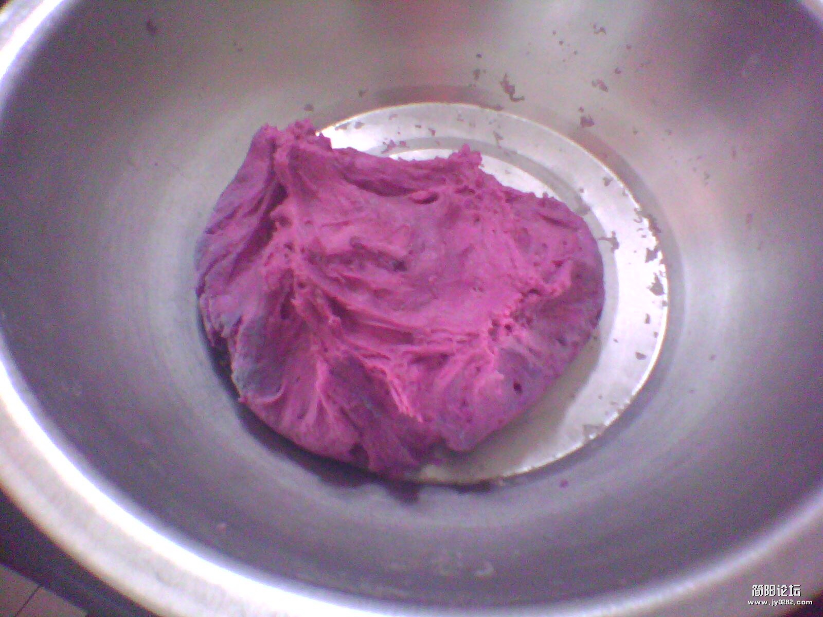 IMG1240A.jpg