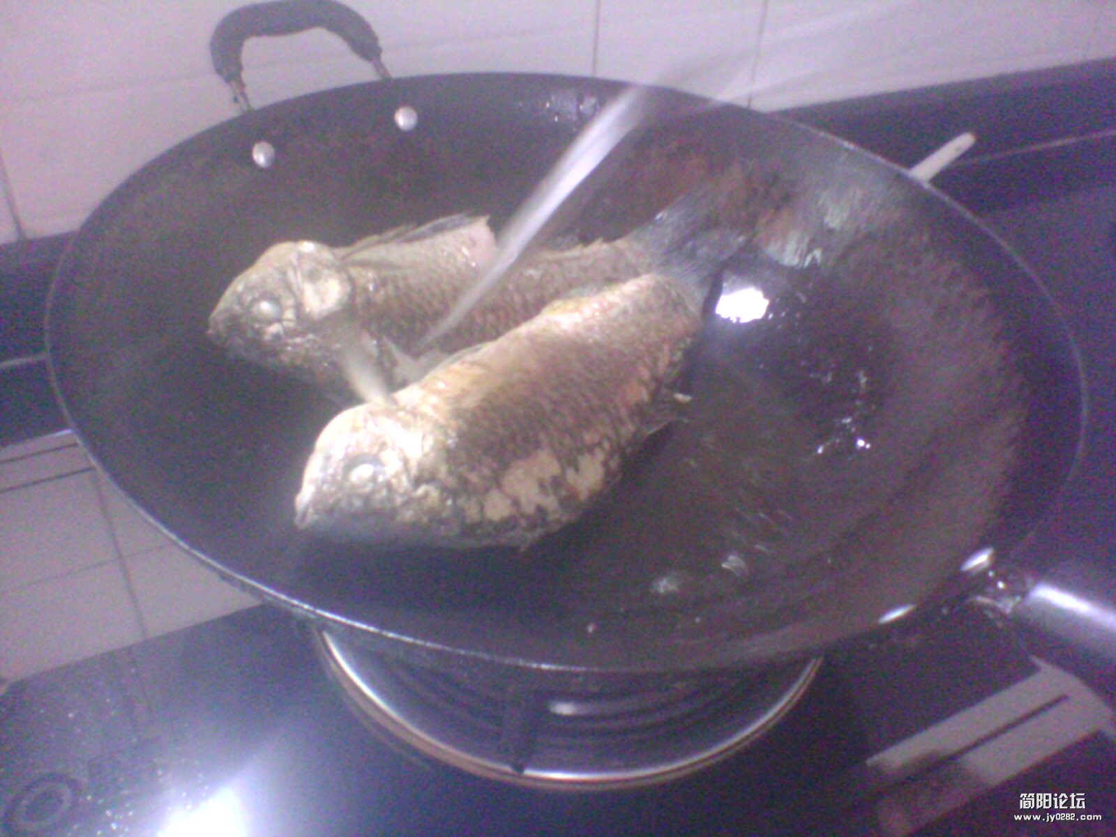 IMG1251A.jpg