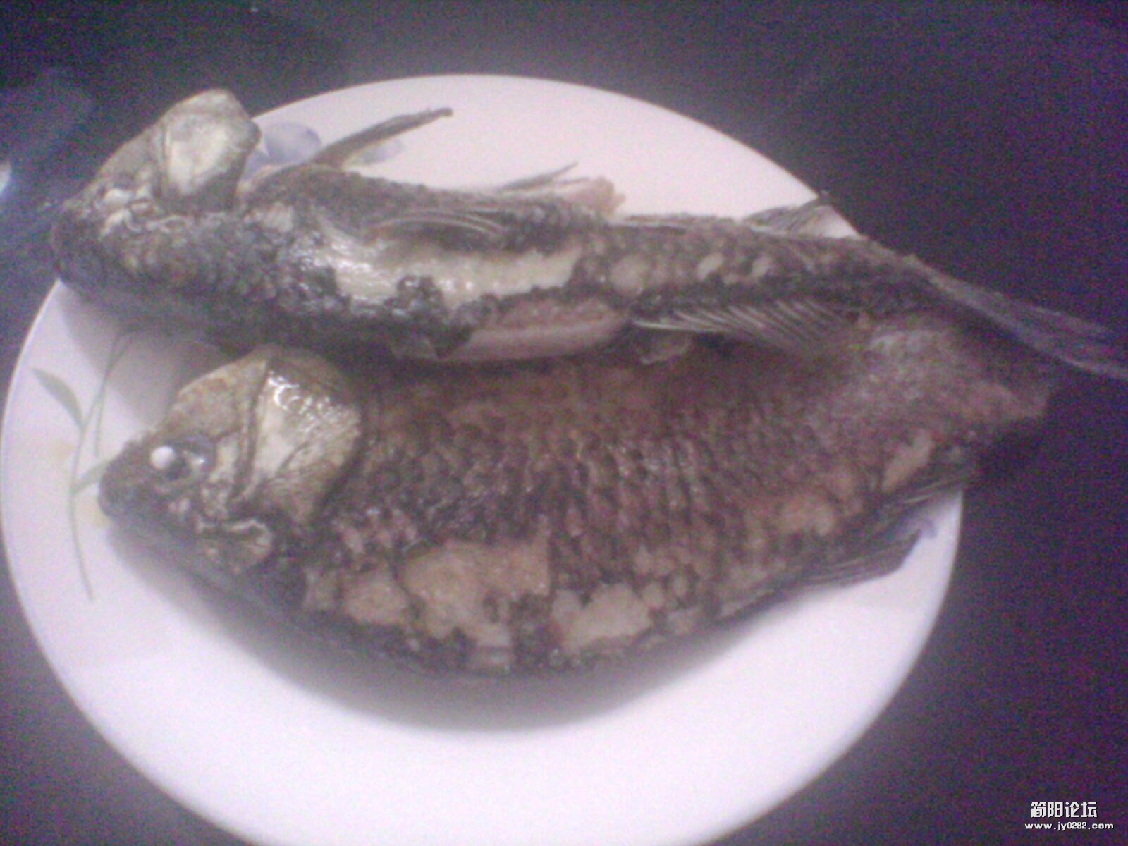 IMG1256A.jpg