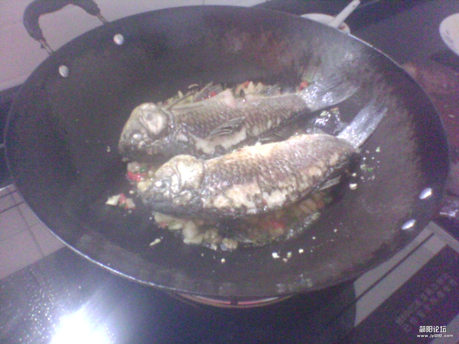IMG1258A.jpg
