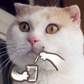 问.gif