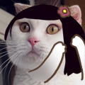 退热贴.gif