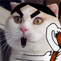 退热贴我.gif