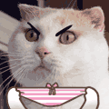 发.gif