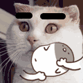 人情.gif