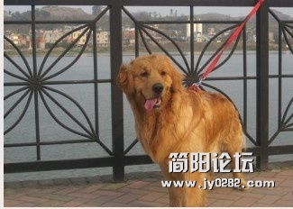合格后.jpg