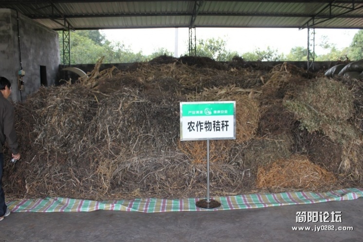 照片 108.jpg