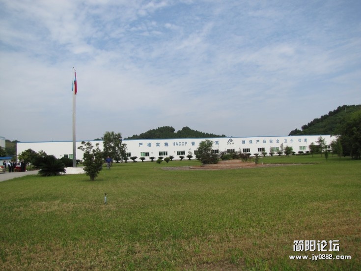 conew_img_1600.jpg