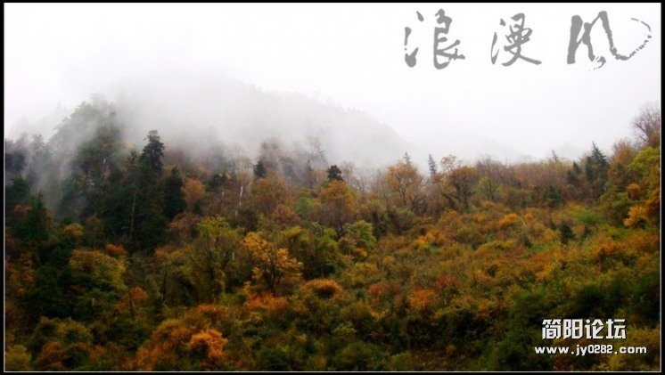 DSC06796.jpg