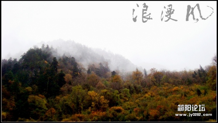 DSC06800.jpg