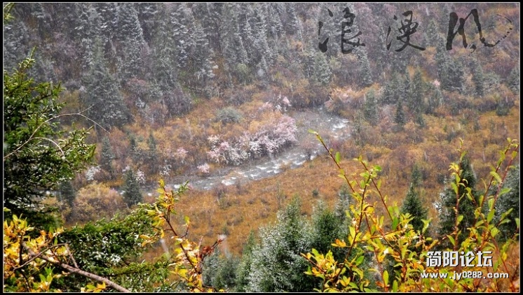 SDC15868.jpg