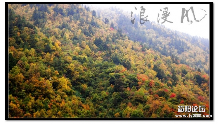 SDC15788.jpg