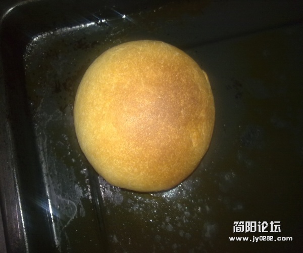 20111018782.jpg