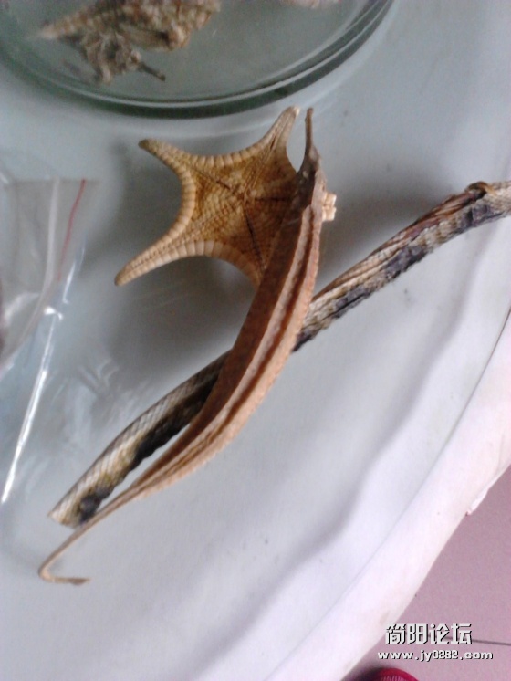 2011-10-19 09.44.12.jpg
