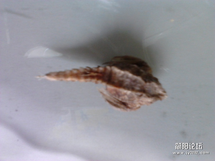 2011-10-19 09.44.42.jpg