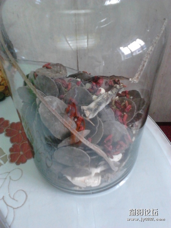 2011-10-19 09.49.49.jpg