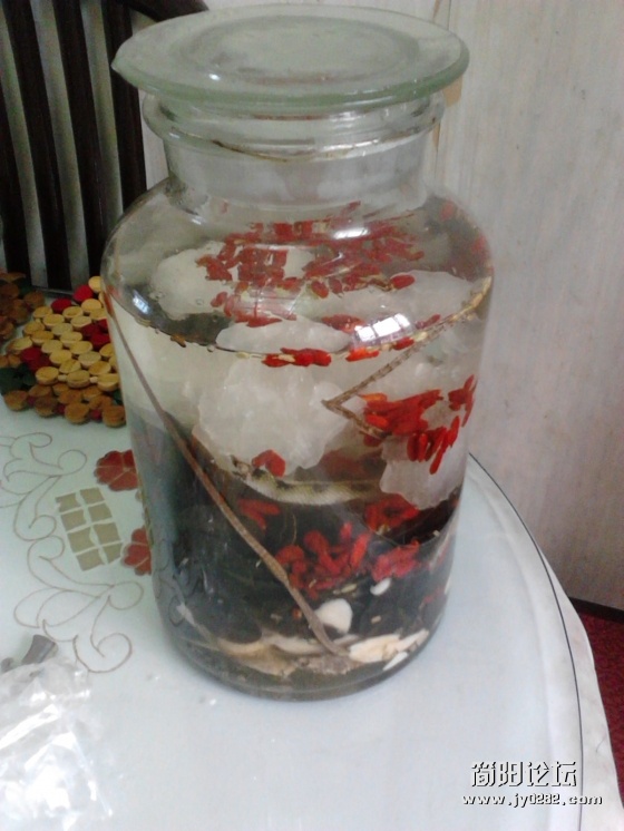 2011-10-19 09.55.18.jpg