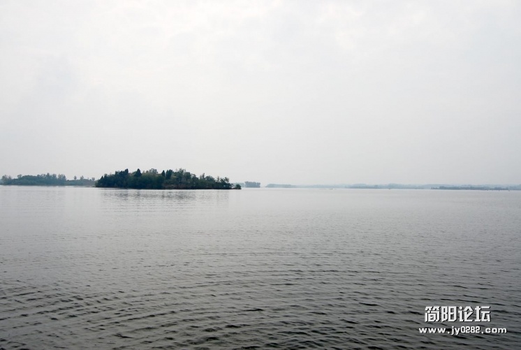 DSC_0801.JPG