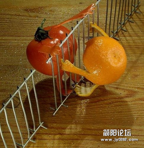 6_lvGXW4J8Rgd7.jpg