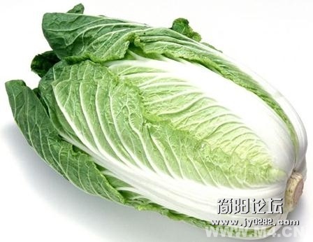 二、烂白菜 　　食用腐烂的大白菜后，会使人缺氧而引起头痛、头晕、恶心、腹胀等，严重.jpg