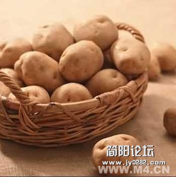 五、发芽的土豆 　　发芽土豆(马铃薯)的嫩芽和变成绿色的皮中龙葵碱含量很高，食用易中.jpg