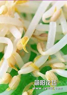 十四、胖大的豆芽 　　用化肥发的豆芽都是又白又胖，其中残留大量的氨，在细菌的作用下.jpg