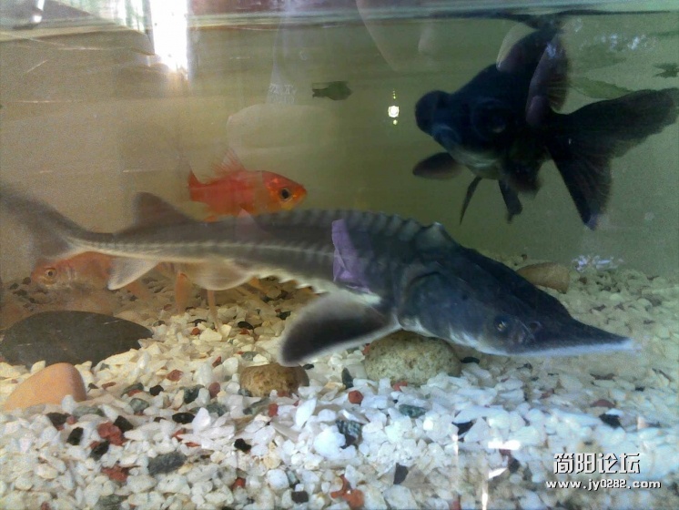 20111024034.jpg