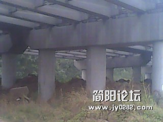 IMG2561A.jpg