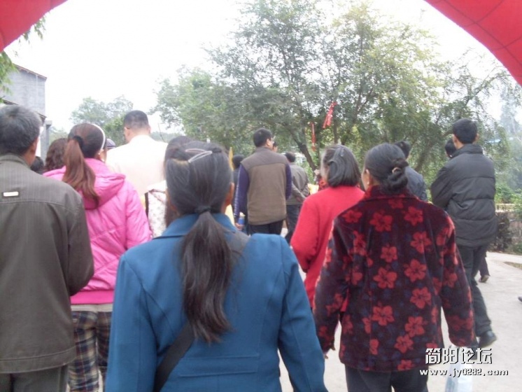 SDC11238.jpg