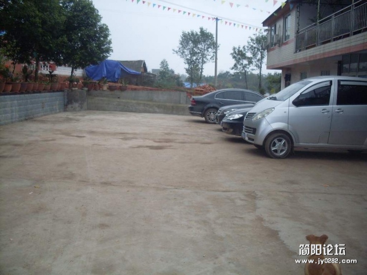 SDC11251.jpg