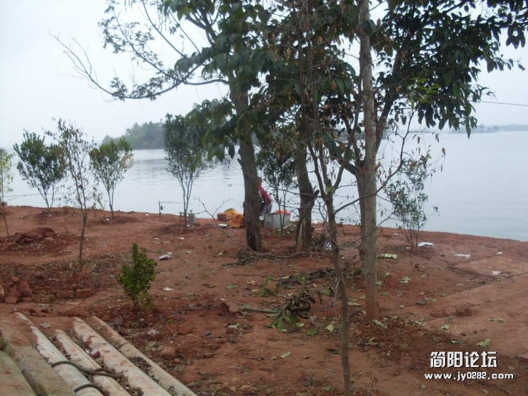 SDC11254.jpg