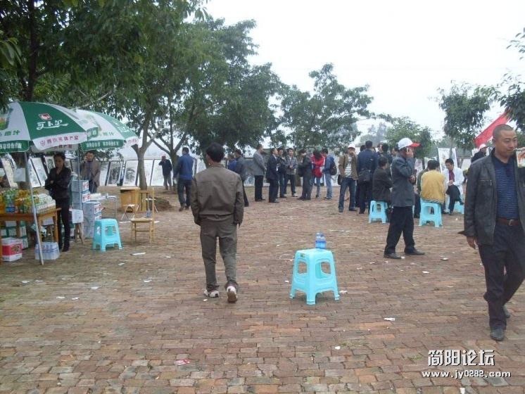SDC11165.jpg