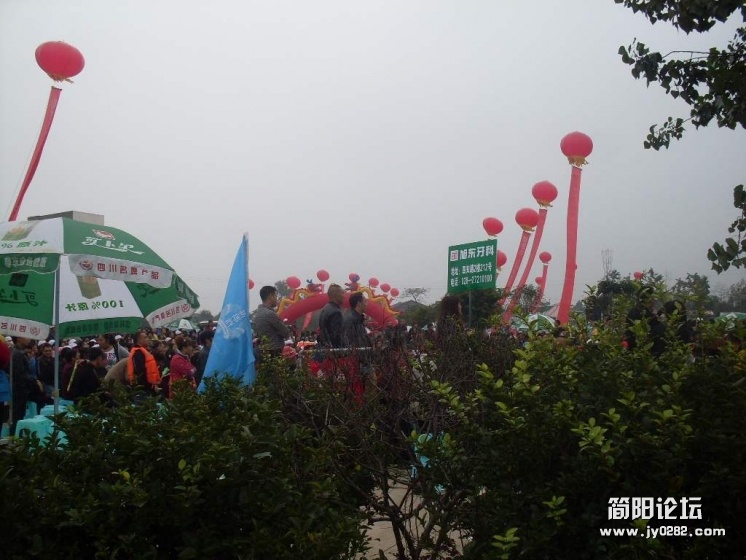 SDC11171.jpg